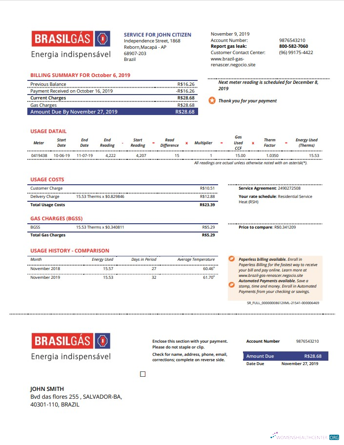 download download Brazil Gas utility bill template in Word and PDF format PDF template PDF template